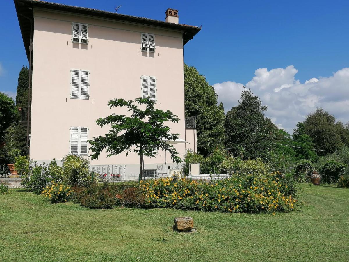 La Cantina Di Tonino Lucques
